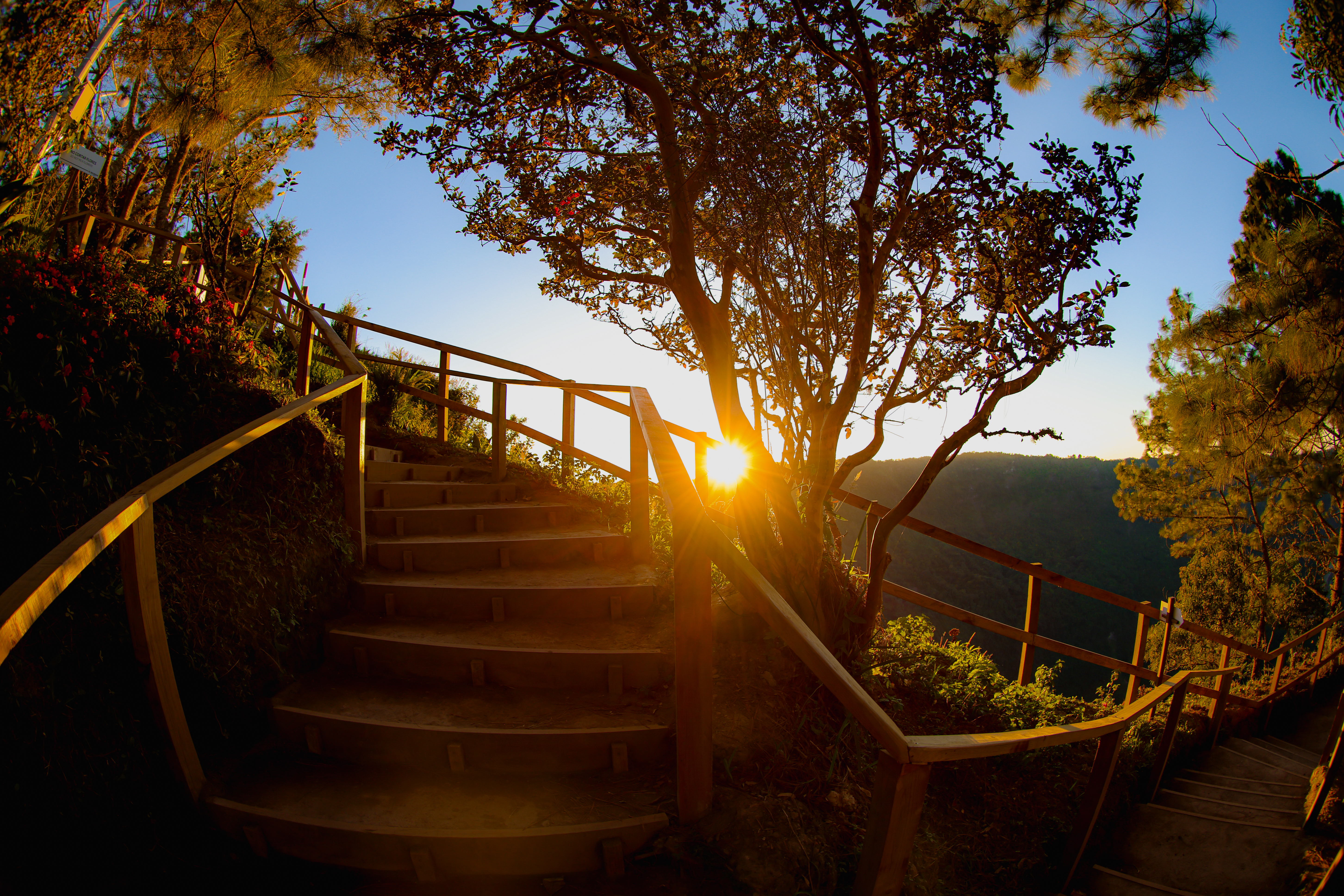 Photo from Parque Nacional El Boquerón